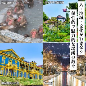 【北海道ツアー】北海道 函館市 旅行クーポン 150,000円分 温泉 観光 ホテル_HD233-003
