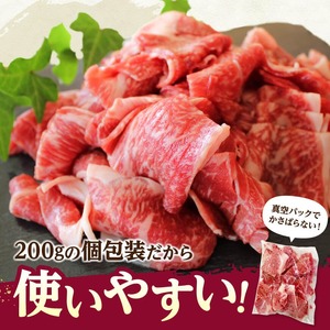 牛肉 【便利な小分け】宮崎牛小間切れ計1kg（200ｇ×5P） 牛肉