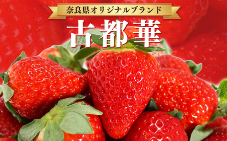 平群 の 古都華 2L ～ 3L サイズ 2ケース （ 4パック ） | フルーツ いちご 古都華 先行予約 奈良県 平群町