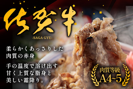 佐賀牛切り落とし【もも、うで、ばら】600g×2P(1.2kg)｜佐賀牛 和牛 国産牛 高級 ごちそう ギフト グルメ 贅沢 ふるさと納税 ブランド牛 佐賀県 鹿島市 お取り寄せ 牛肉好き必見 鹿島 もも うで ばら 切り落とし 牛肉 贅沢な食事 D-233