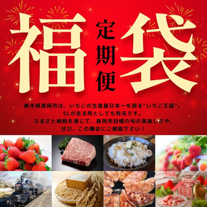 【定期便4回】真岡の グルメ 定期便 いちご お米 餃子 お肉 