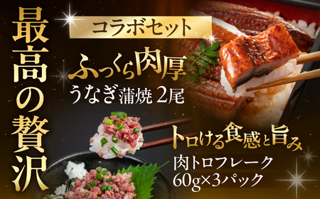 国産うなぎ&牛肉トロ セット うなぎ 牛肉