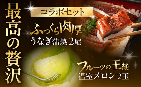 国産うなぎ & 温室メロン 農家直送 セット 鰻