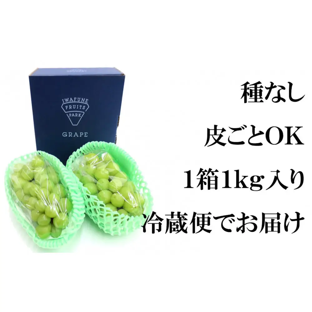 栃木市岩舟産シャインマスカット　1kg【フルーツ 果物 くだもの 食品 人気 おすすめ】