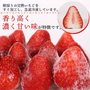 冷凍いちご いちご 1kg 冷凍いちご