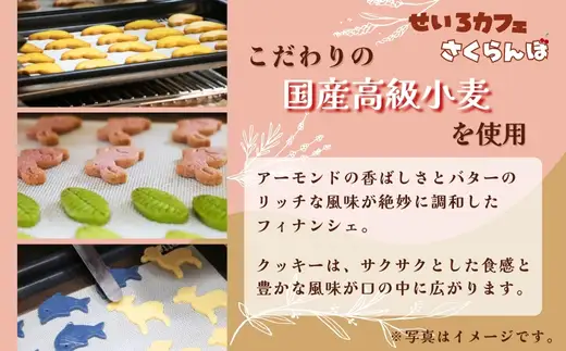 フィナンシェ&クッキーギフト A
