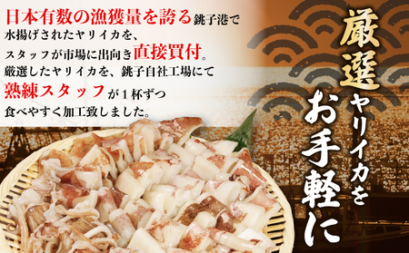 カットヤリイカ 約1.2kg イカ