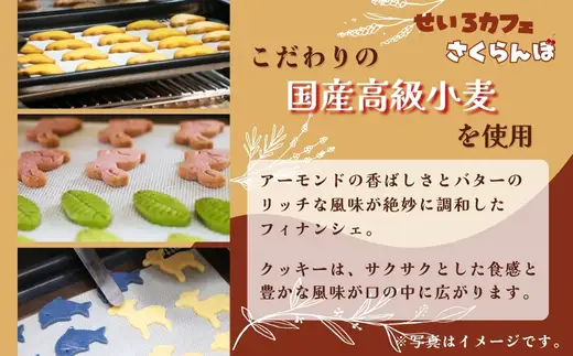 フィナンシェ&クッキーギフト B