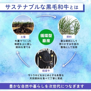 n408 梶屋牛 リブロース ステーキ 約300g 黒毛和牛 牛肉 和牛 【株式会社Calfields】