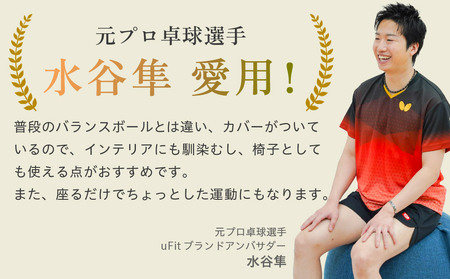 uFit Balance Ball　55cm【グレー】 【136005-1】ﾊﾞﾗﾝｽﾎﾞｰﾙ ｶﾊﾞｰ付き ﾄﾚｰﾆﾝｸﾞ 取手付き 洗濯可能 体幹 椅子 運動 筋肉 ﾊﾞﾗﾝｽ 在宅勤務 ｲﾝﾃﾘｱ ｵﾌｨｽ 