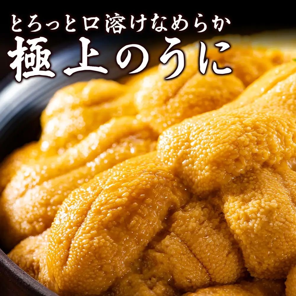 【先行予約】【うにの名産地稚内市】最北端の生むらさきうに(100gパック×3) うに ウニ ムラサキウニ