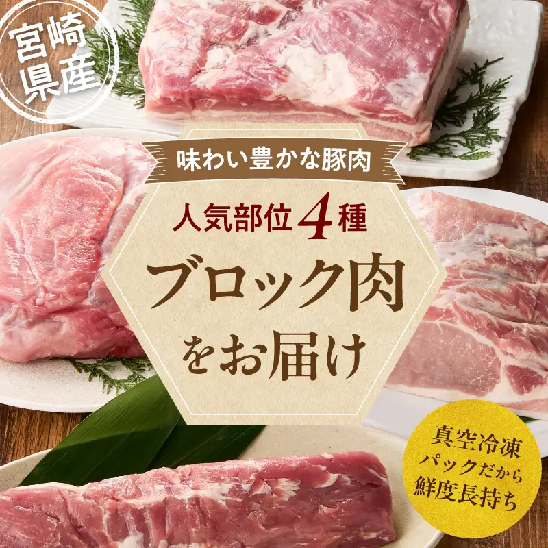 豚肉 ヒレ 豚肉[宮崎県産 ブロック 4種 3.5kg ロース バラ モモ]