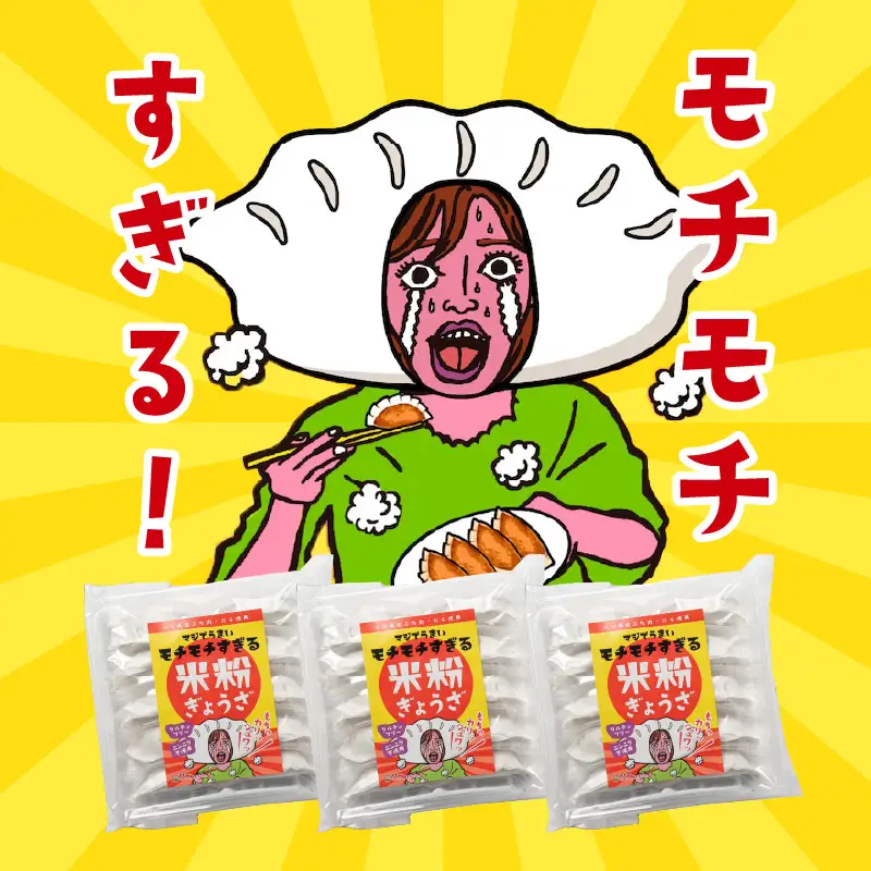 マジでうまい！モチモチすぎるニラ子の米粉ぎょうざ 大分県産豚肉・にら100%使用(ニラ醤油タレ付) 10個入り3パック A02037
