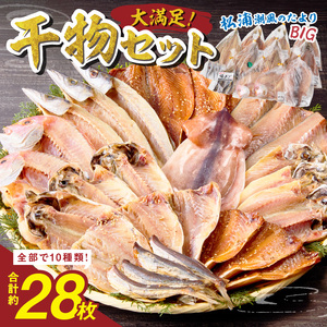 干物セット 10種28枚 サバ イカ アジ カマス 焼きあご レンコダイの干物【B5-118】