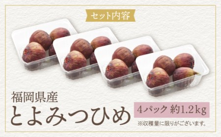 Y20-01 【2026年発送】《予約受付》 とよみつひめイチジク(4ﾊﾟｯｸ) イチジク