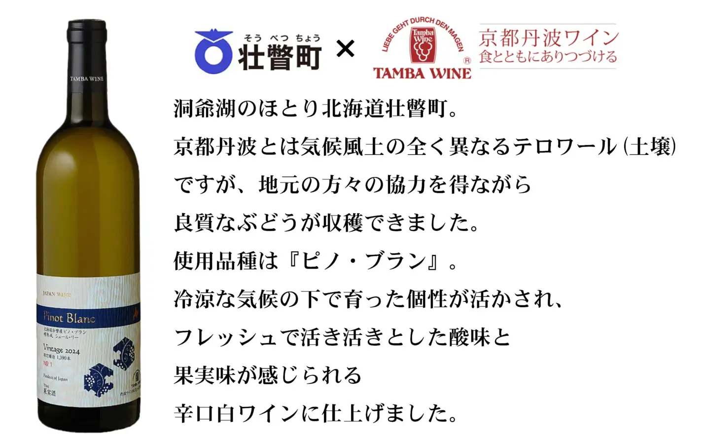北海道壮瞥産 ピノ・ブラン2024(辛口白ワイン) 750ml×2本 SBTA085