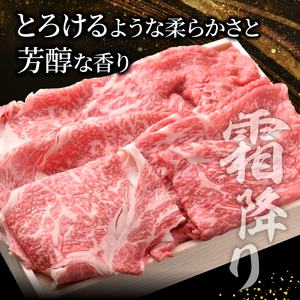 近江牛 特選肩ロース 赤身モモ スライスセット 計1kg すき焼き しゃぶしゃぶ 牛肉 和牛 黒毛和牛 肩ロース モモ 赤身 スライス