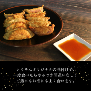 【創業50年 老舗ラーメン店が作る】手作り ジャンボ 冷凍餃子 30個入り 餃子 冷凍 冷凍食品 ぎょうざ ギョウザ ギョーザ おつまみ 静岡県 藤枝市