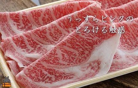 毎回約700頭から厳選された 鹿児島黒毛和牛 リブロースすき焼き 600g ( 厳選 プレミアム 高品質 鹿児島黒毛和牛 黒毛和牛 牛肉 スライス すき焼き 鍋 徳之島 奄美 鹿児島 ギフト お中元 お歳暮 ステーキ ご馳走 記念日 高島屋 )