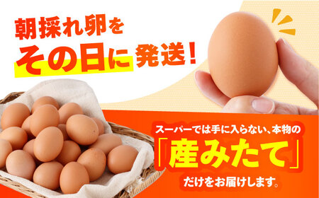〈数量限定〉【朝採れ直送】小峰鶏園 赤たまご Lサイズ 60個 / 卵 玉子 たまご 卵焼き 玉子焼き 生卵 鶏卵 卵かけごはん / 諫早市 / 小峰鶏園 [AHFB001]