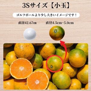みかん 小粒 ゆら早生 ※2026年10月中旬頃~2026年10月下旬頃に順次発送予定 / こだま 小玉 こつぶ 【kzmn003-3s-4d5】