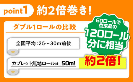 【3回定期便】 (2カ月に1回) トイレットペーパー 60ロール【ダブル】 北海道・沖縄県・離島への配送不可 日用品 生活用品 エコ 岐阜市 / 河村製紙[ANBJ029]
