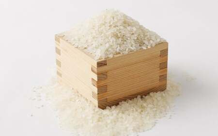 津留いちご園のお米 白米 農薬・化学肥料不使用（栽培期間中） 5kg 【2025年11月上旬から2026年10月下旬順次発送予定】 米 お米 ご飯 精米 九州 福岡