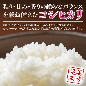 【数量限定】【令和7年】美味追求 茨城県産こしひかり 5キロ 精米 (NA-1)