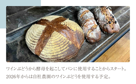 自家製ワインぶどう酵母のパン3点セット（カンパーニュ、クルミ＆レーズンパン、いちじくパン　各1個）【コミュニティcafe まる屋】