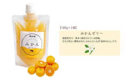 フルーツゼリー ちゅるちゅるゼリー 柑橘 3種 合計9個 セット みかん きよみ せとか 柑橘王国愛媛 永久堂