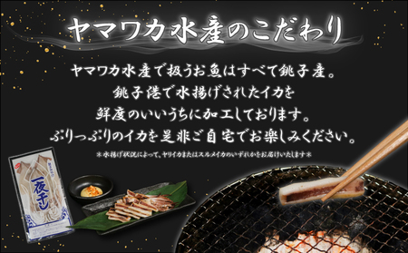 イカの一夜干し 2~4枚 (約350g) イカ イカ ヤマワカ水産