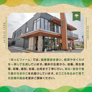 乾燥しいたけセット 6種 ＜乾燥しいたけ3種・だしパック・しいたけパウダー・しいたけみる＞ 乾燥椎茸 乾燥しいたけ 椎茸 シイタケ どんこ 出汁 きのこ キノコ 煮物 炊き込みご飯 お味噌汁 便利 【ほっとファーム株式会社】 sh110