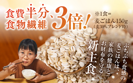 宝麦（特選押麦）15kg 麦 むぎ 大麦 押麦 国産 麦味噌 麦みそ 麦ごはん とろろごはん 麦飯 麦めし 米