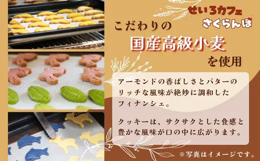 フィナンシェ&クッキーギフト C