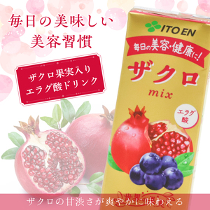 【10営業日以内発送】伊藤園 ザクロmix 紙パック 200ml 24本  スピード発送　013-G-IT009