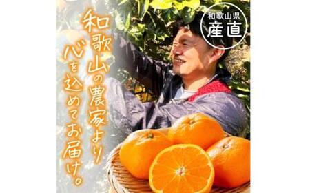 わかやま 旬の くだもの 定期便【Ｓ】 全3回 / フルーツ まりひめ いちご 小玉 すいか ※北海道・沖縄・離島への配送不可 （配送日時指定不可） / 定期便 フルーツ みかん いちご すいか 【ard-tkb908】