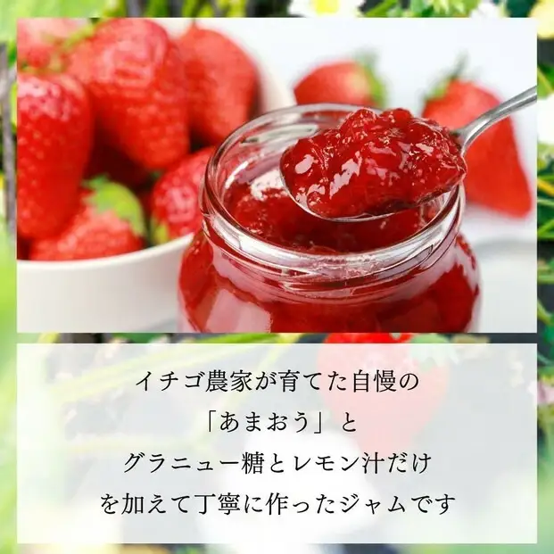 いちごジャム 無添加 あまおうとグラニュー糖のジャム 200g×3袋 手作り 国産 チューブ パウチ入り | 食品 加工食品 人気 おすすめ 送料無料