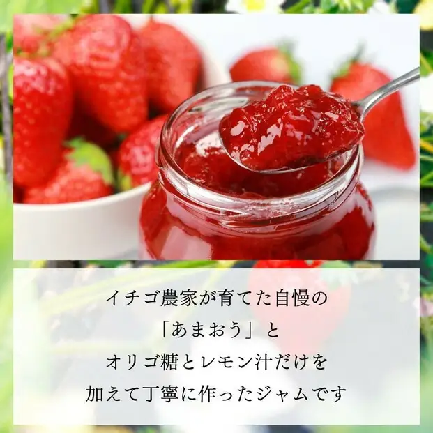 いちごジャム 無添加 あまおうとオリゴ糖のジャム 200g×3袋 手作り 国産 チューブ パウチ入り | 食品 加工食品 人気 おすすめ 送料無料