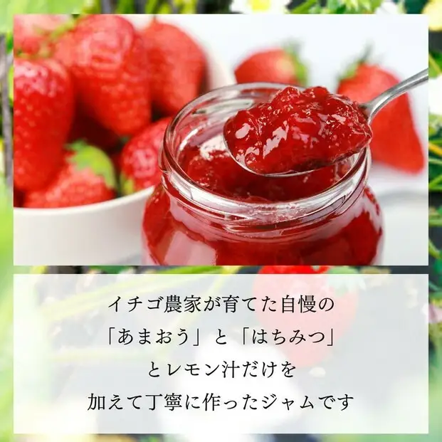いちごジャム 無添加 あまおうとハチミツのジャム 200g×3袋 手作り 国産 チューブ パウチ入り | 食品 加工食品 人気 おすすめ 送料無料