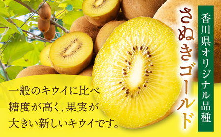 【先行受付】香川県オリジナルキウイフルーツ「さぬきゴールド」約1kg（6－10玉）【香川県共通返礼品】 | 果物 フルーツ 青果 青果物 キウイ さぬきゴールド デザート 果実 贈答 贈り物 ギフト 甘い 追熟 ジューシー 糖度が高い 季節のフルーツ 旬 おすすめ 香川県 三木町 |_mk006-052