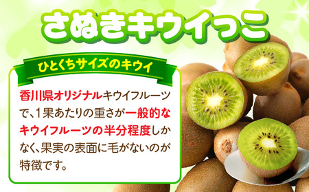 【先行受付】香川県オリジナルキウイフルーツ「さぬきキウイっこ」約1kg【香川県共通返礼品】 | キウイ キウイフルーツ 果物 フルーツ 青果 青果物 さぬきキウイっこ 果実 贈答 贈り物 ギフト 甘い 糖度が高い 季節のフルーツ 旬 おすすめ 香川県 三木町 |_mk006-053