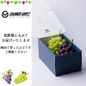 御贈答用 岡山県産 瀬戸ジャイアンツ オーロラブラック 2房入り(1.2kg以上) ぶどう ブドウ 葡萄 フルーツ 果物 岡山 瀬戸内市