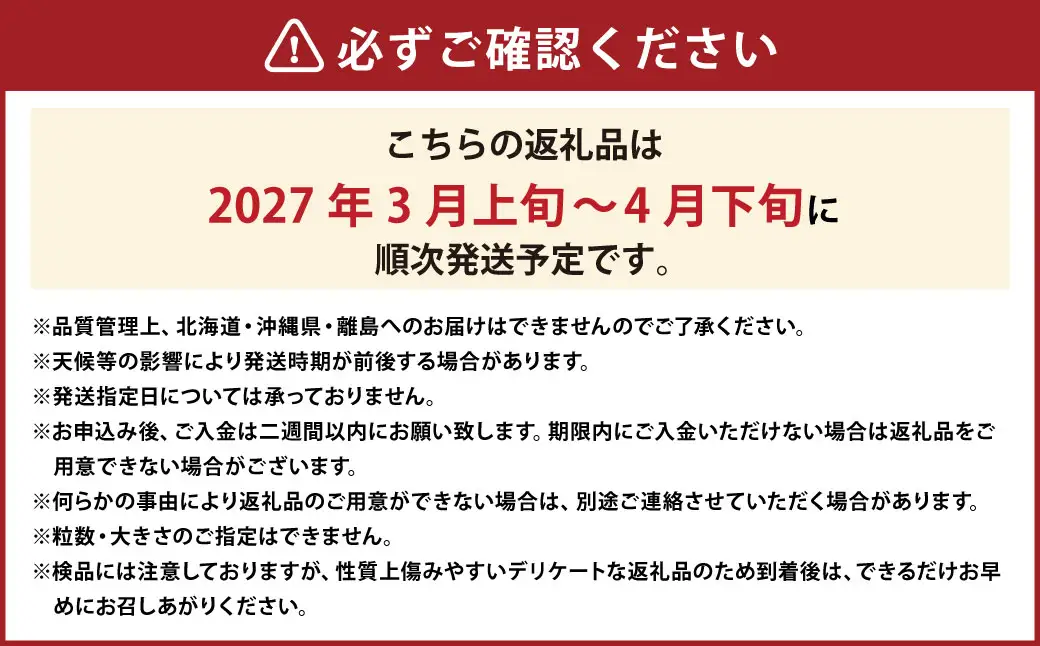 春のあまおう （2L・2A・G規格以上 6パック） 合計約1.5～1.62kg 【数量限定】 【2027年3月上旬～4月下旬発送予定】  あまおう 苺 いちご 果物 果実 フルーツ 国産 九州 福岡県 香春町 冷蔵