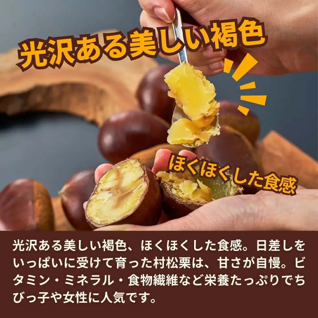 【先行予約】くり 越後村松の栗（2Lサイズ 2kg）| 新潟県 五泉市 くり 栗