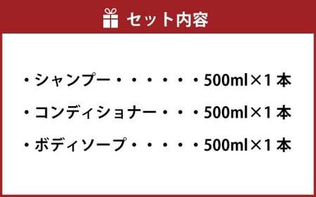 炭 シャンプー コンディショナー ボディソープ 3本 セット 日本製 ノンシリコンシャンプー 液体石鹸 お風呂 バス用品 バスタイム 日用品