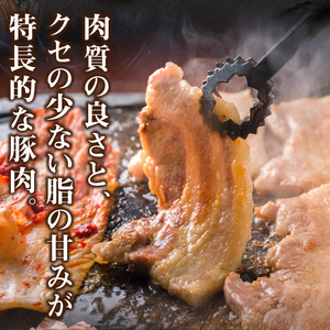 【ふるなび限定】クリスタルポーク焼き肉2kg　FN-Limited-PR