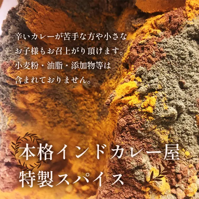 グルテンフリー・無添加　辛くないスパイスカレー粉 ／ カレー カレーパウダー カレースパイス スパイスミックス マイルド 手作り お手軽 レシピ付 美味しい おいしい 小麦粉不使用 油脂不使用 添加物不使用 大阪府 No.169