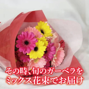 旬の水戸市常澄のガーベラ カラフルミックス20本（DR-130）