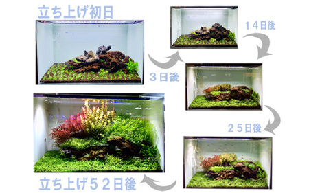 アクアテイラーズ 大地の恵み 育つソイル １L（ノーマル）〈エビ、淡水魚、その他多くの弱酸性を好む生体に最適〉