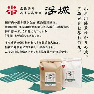 《令和7年》【3か月定期便】みはら高原米 浮城 ～ きぬひかり ～ 玄米10kg  お米 米 精米 ごはん ご飯 広島県 三原市 220023